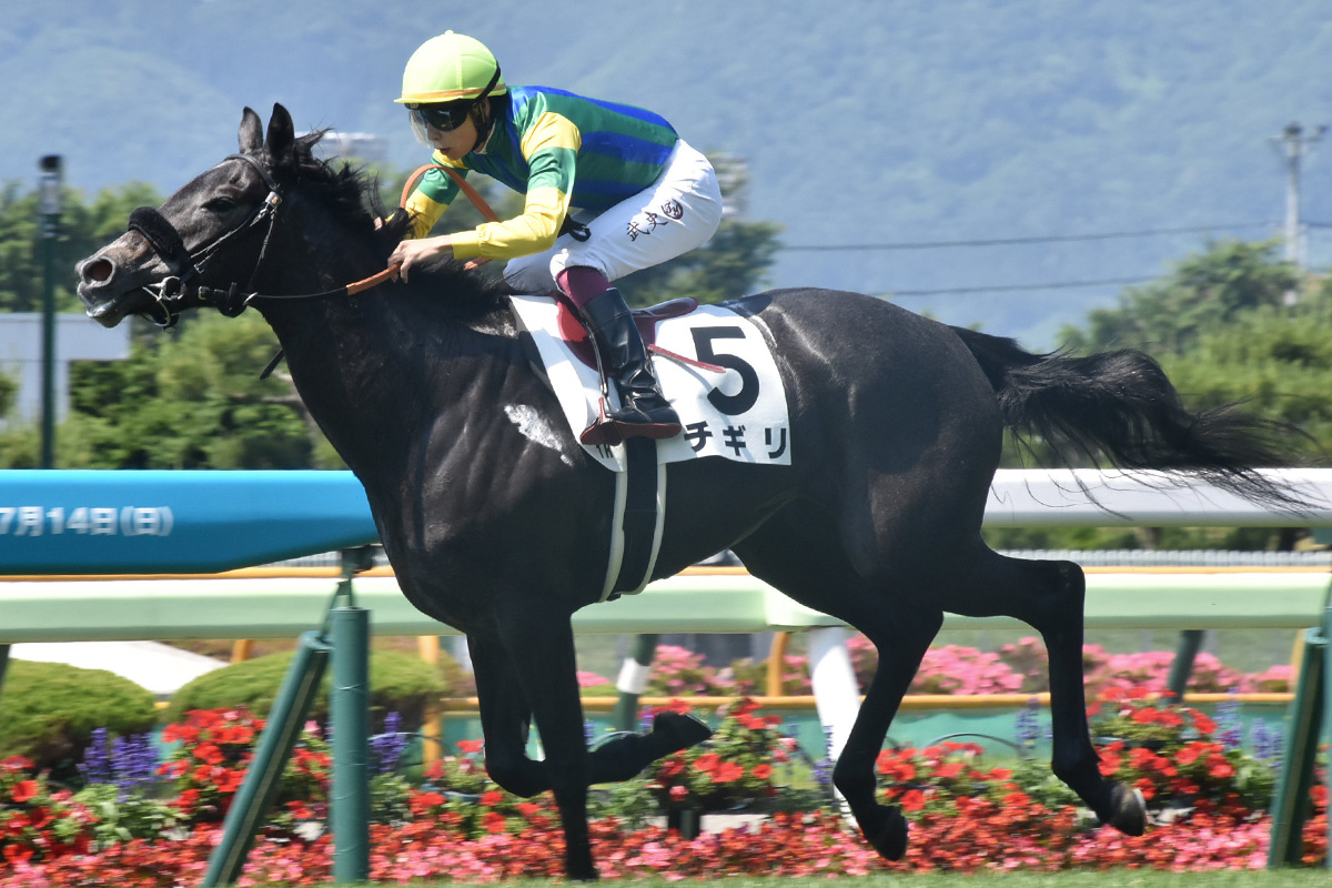 横山武騎乗のチギリが快勝「今後の成長が楽しみ」 人気馬が上位独占で