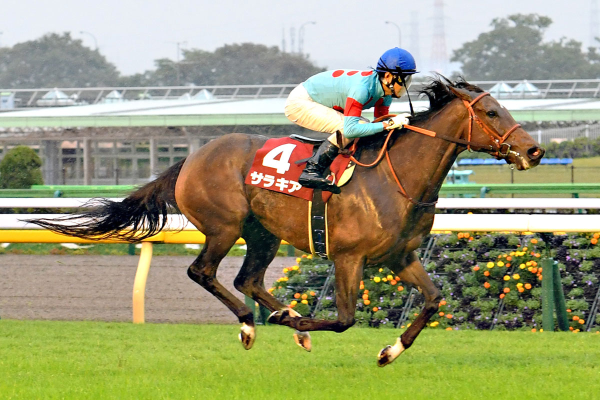 先出し！注目新馬】サロミナの子サリーチェ、マスクトディーヴァ半弟