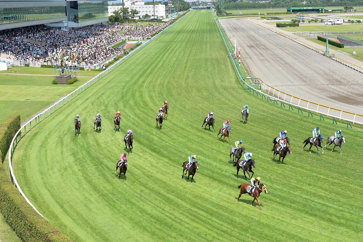 今週 の 中央 競馬