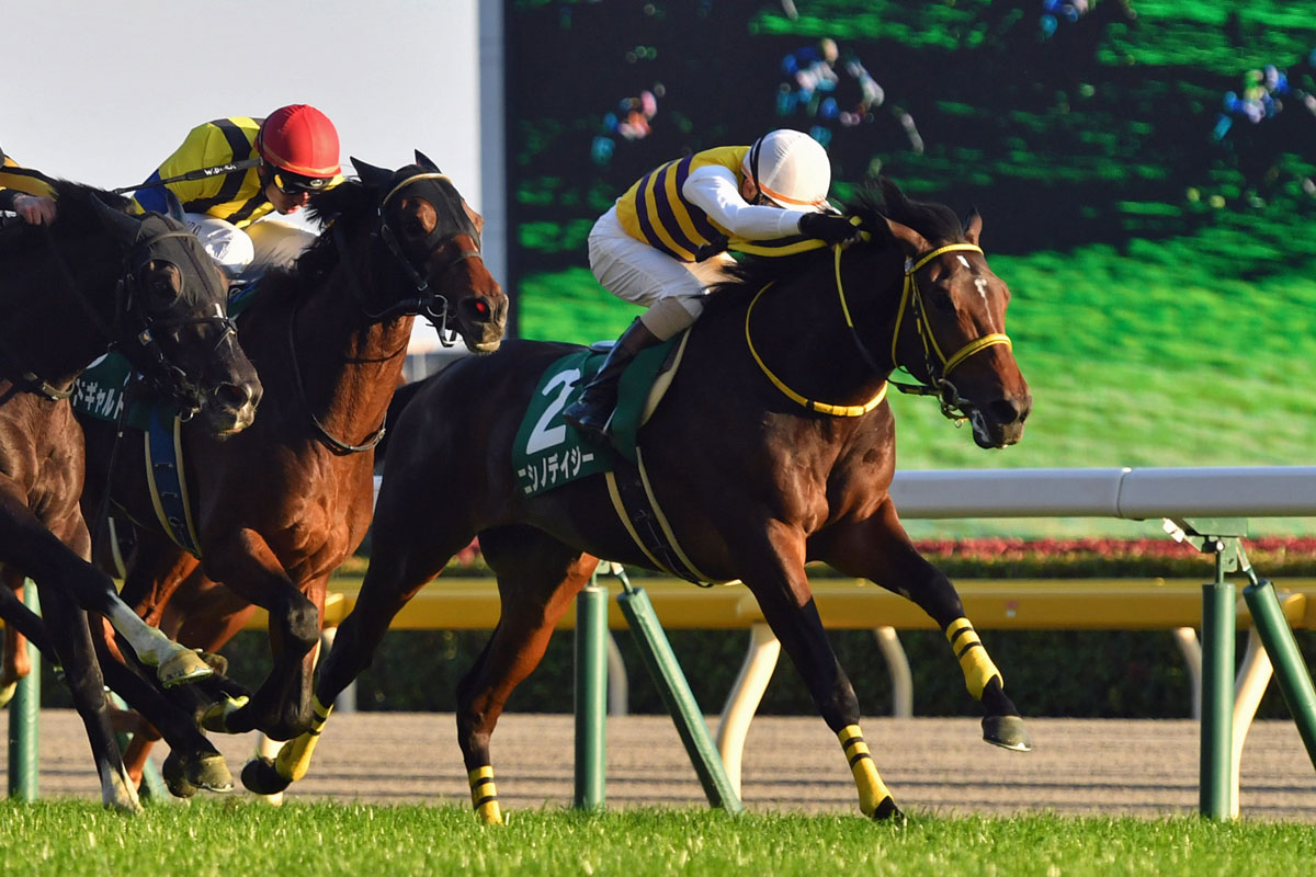 先出し！注目新馬】ニシノデイジーの半弟リビングストンが8月中京
