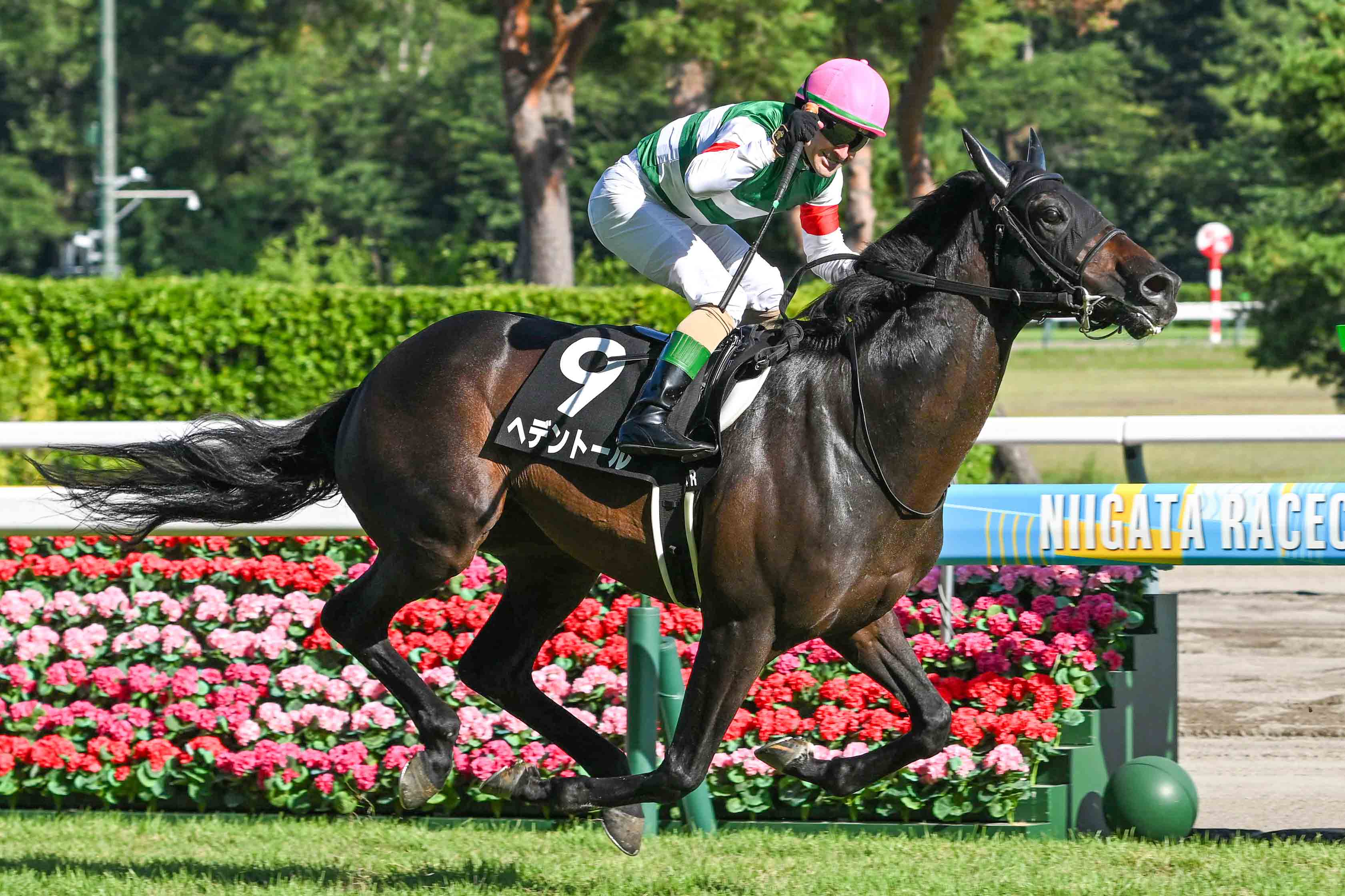 ルメールがJRA通算1900勝達成 「うれしいです。スゴイ」 【新潟