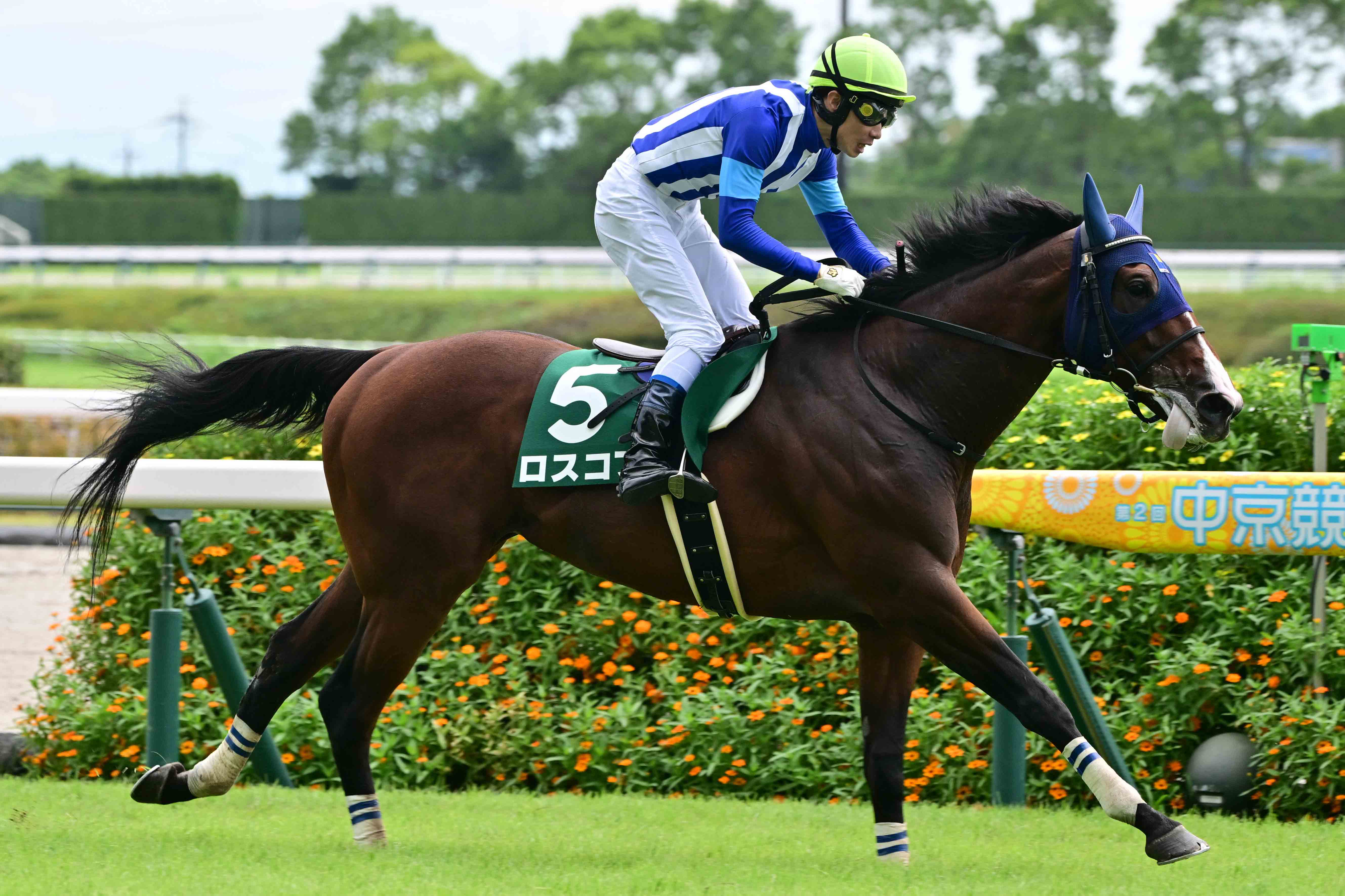 【未使用】ロスコフ キャップ 2024 小倉サマージャンプ 勝利記念 競馬 2024年 小倉サマージャンプ（J・GⅢ） | ロスコフ | JRA公式 - YouTube