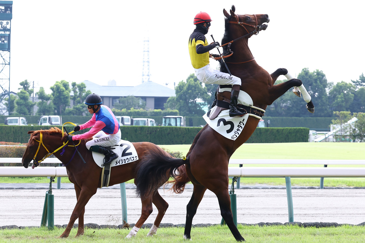 1番人気パンジャタワーが叩き合い制す 松山弘平「着差以上に強い競馬