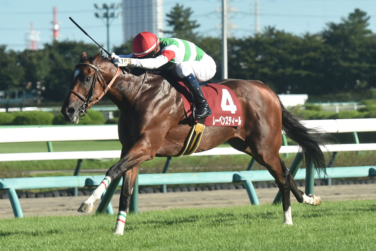 秋華賞を占う】オークス馬チェルヴィニアと桜花賞馬ステレンボッシュが