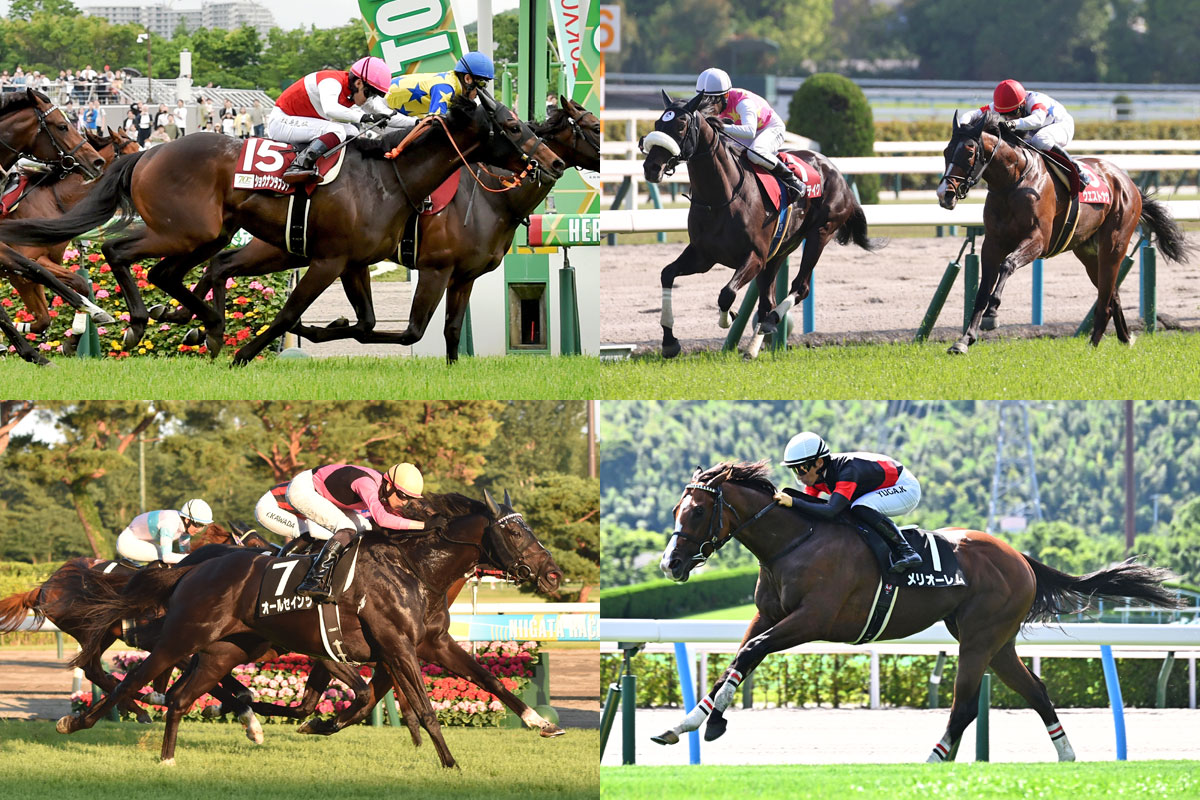 神戸新聞杯展望】今年は中京決戦！ 春の実績馬と夏の上がり馬が菊花賞