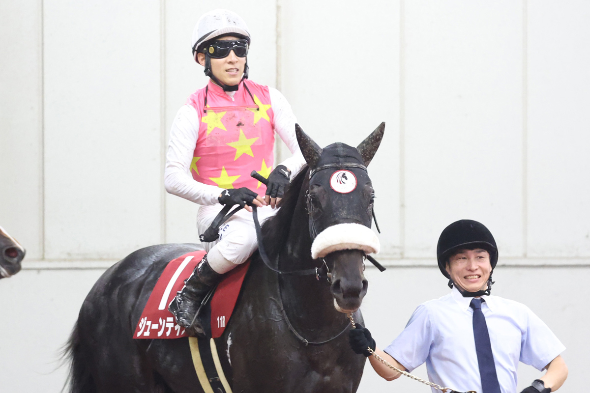 神戸新聞杯】ジューンテイクは2着惜敗も課題を克服して収穫たっぷり