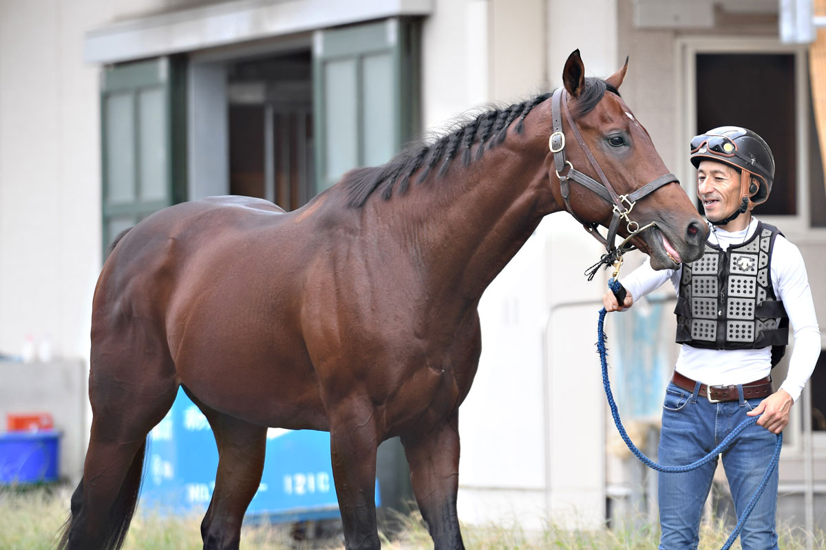 スプリンターズS・調教後の馬体重】3連勝中のサトノレーヴは1キロ増