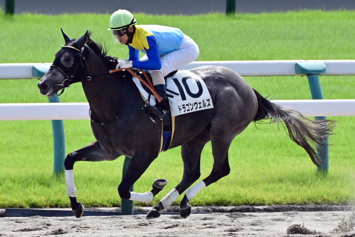 ドラゴンウェルズ9馬身差圧勝 藤原英昭調教師「サウジ、ドバイを