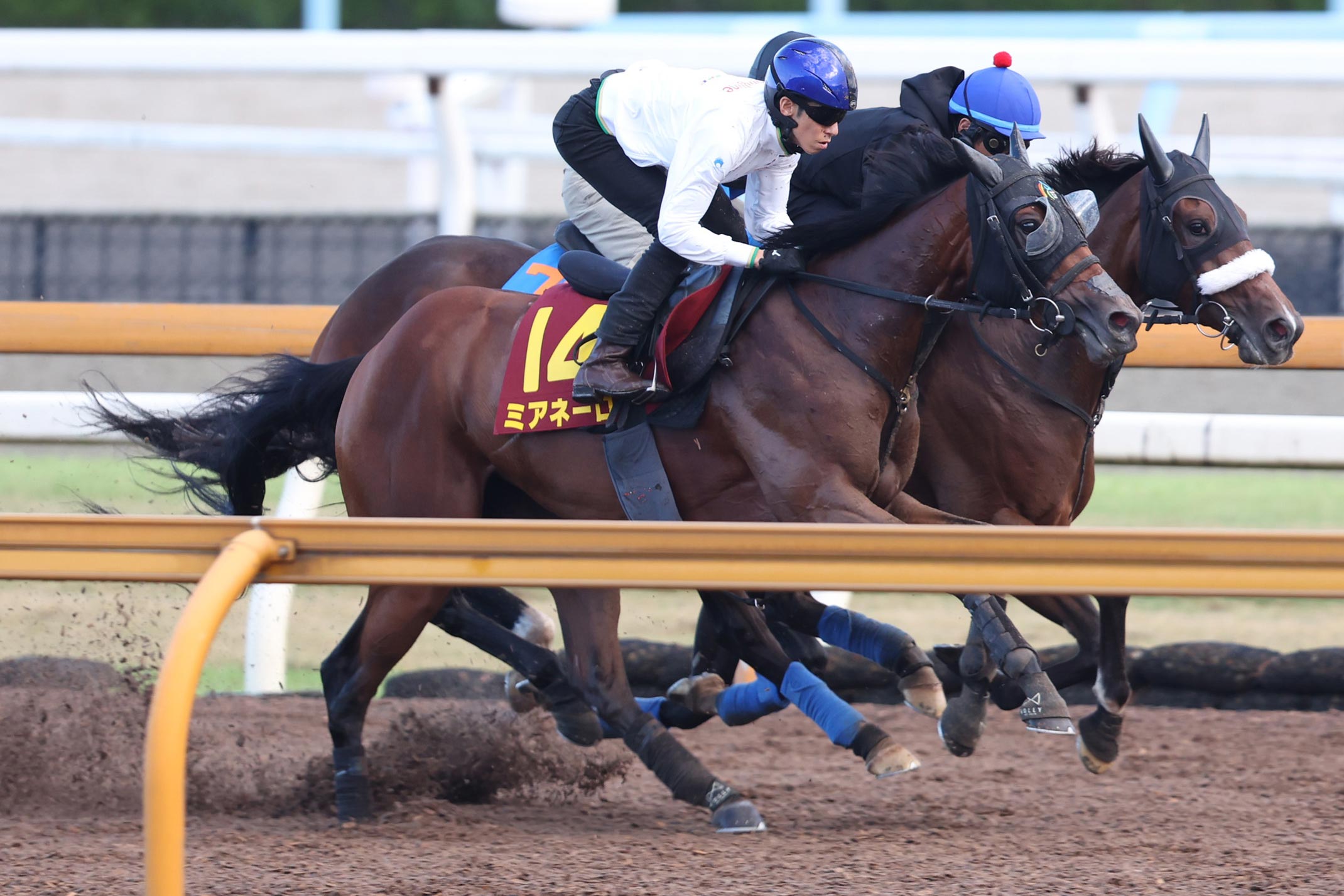 エピファネイア新馬戦〜大阪杯現地単勝馬券&写真