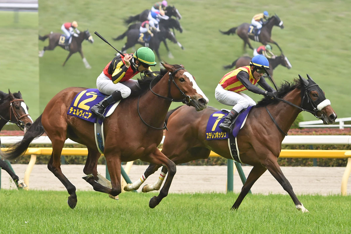 秋華賞】初のフルゲート割れで確定 15頭立てはレース創設29年目で
