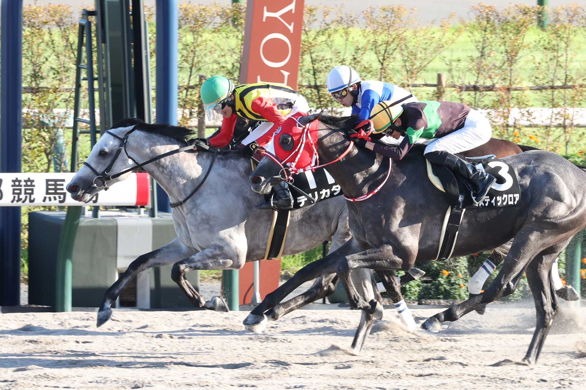大阪スポーツ杯】〝1鞍入魂〟三浦皇成のデリカダが快勝「根性を見せて