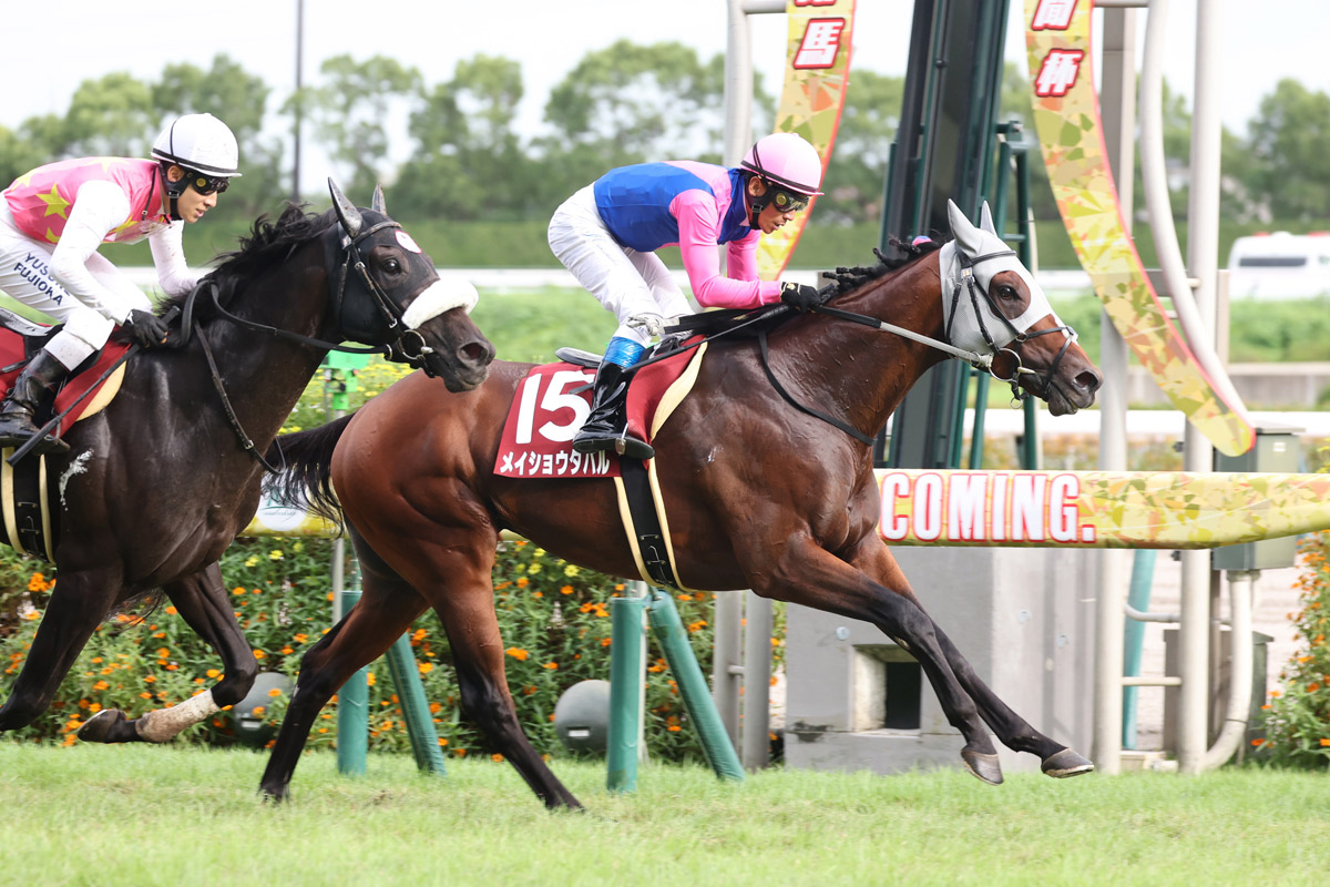 確認用 メイショウタバル 菊花賞 現地購入単勝馬券 競馬 期限切れ 菊花賞・サイン馬券】あまりにも目立ちすぎるサイン馬には過信禁物
