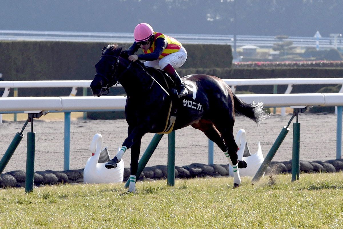 直撃】セール初参戦で牝馬最高額を落札したのは何者なのか／ノーザン