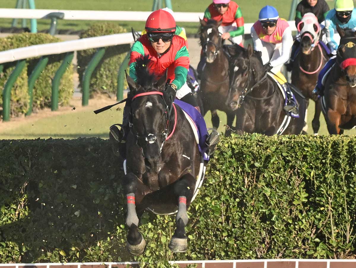 昨年の最優秀障害馬マイネルグロンが日曜福島7Rの平地戦で復帰 中山