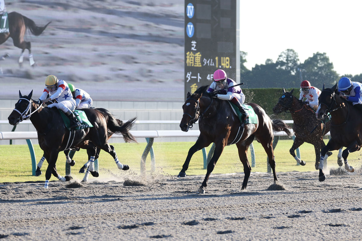 みやこステークス結果＆コメント】3歳サンライズジパングが重賞2勝目