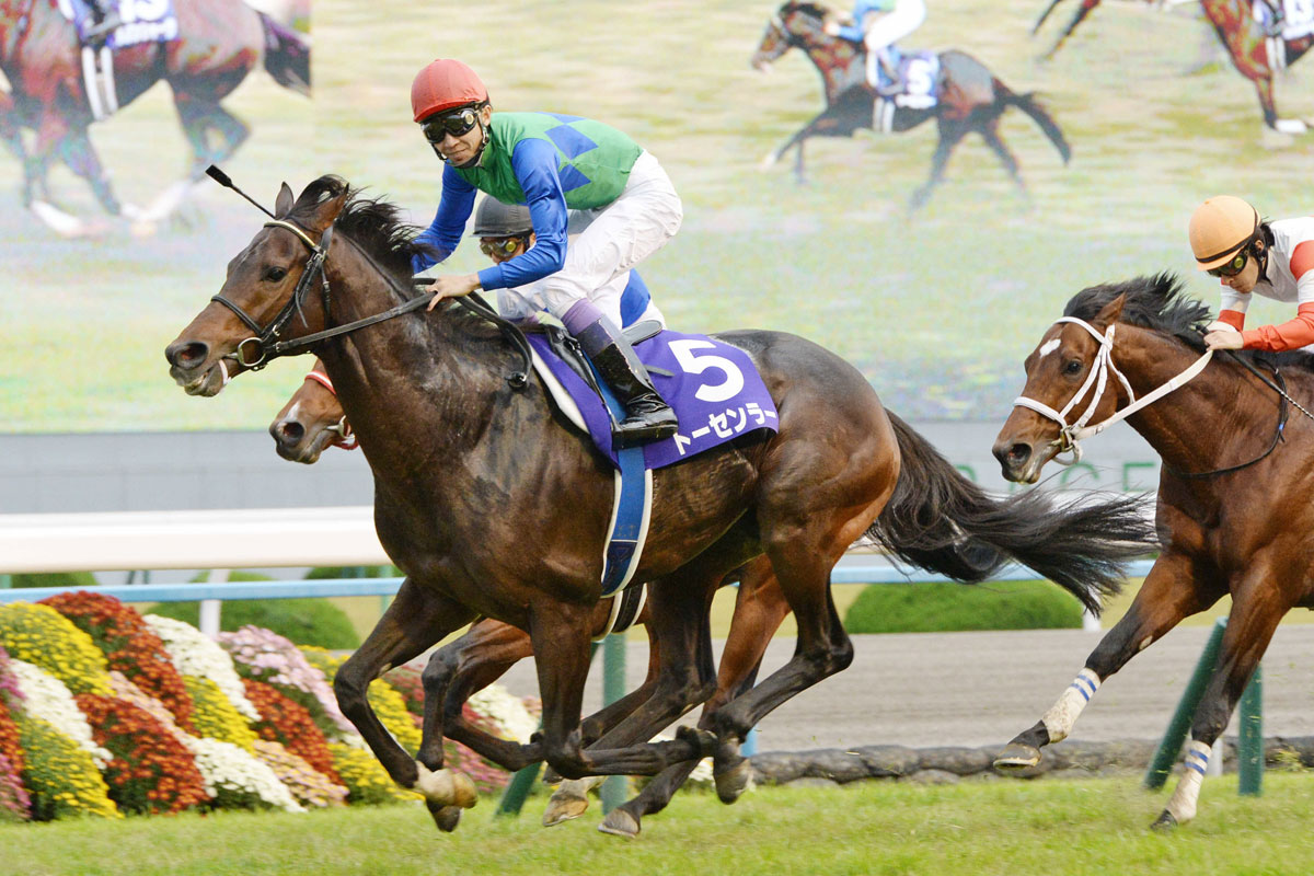 思い出のマイルCS】武豊騎手が向正面で勝利を確信 メモリアルVを 