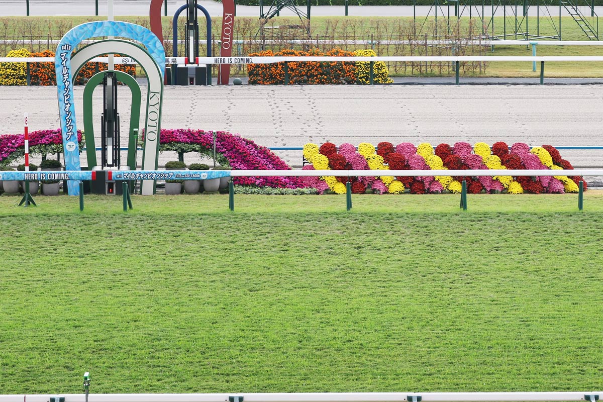 マイルCS・直前馬場情報】4角から直線の傷みはどう影響