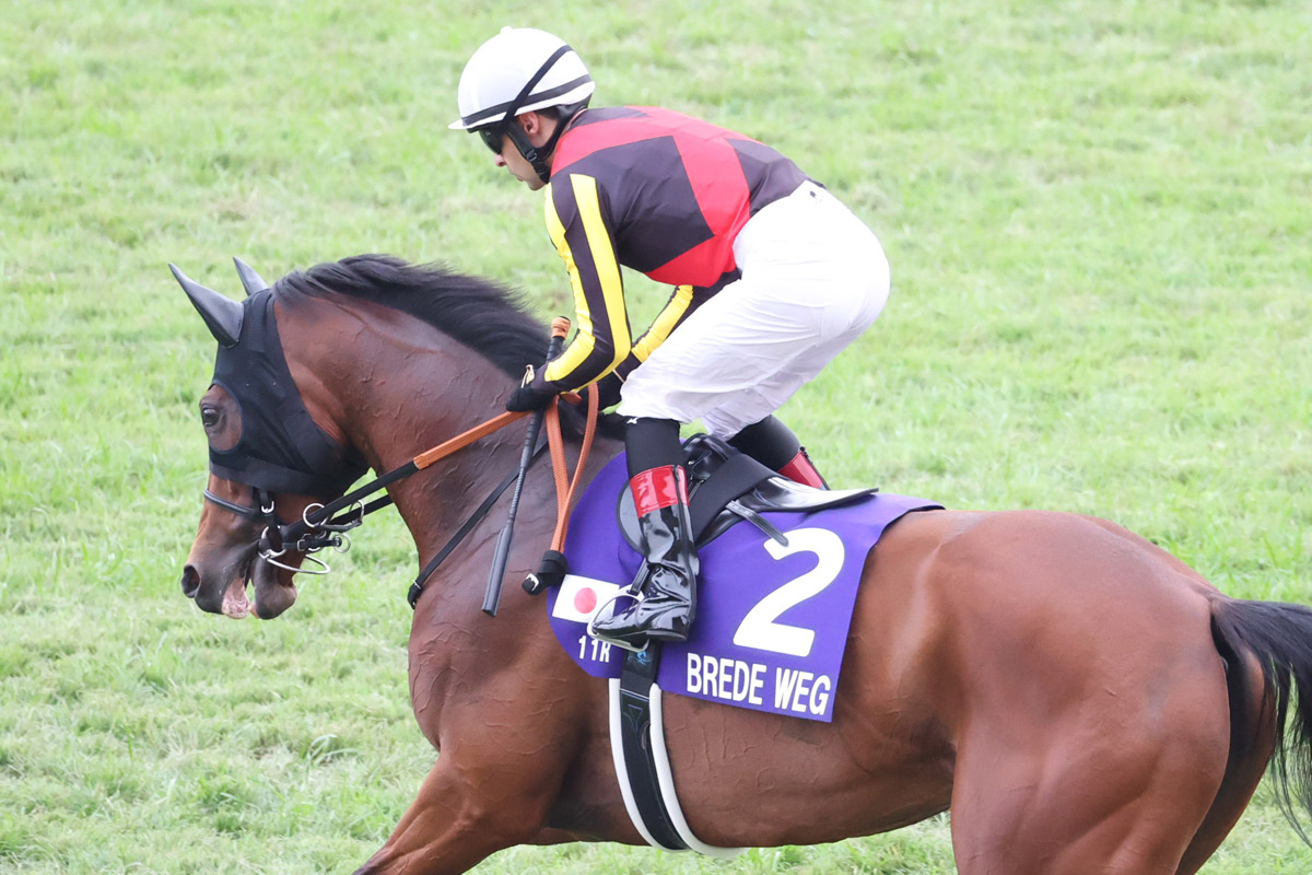 アグネスデジタル他17頭　00年 マイルCS　現地的中単勝馬券　人気薄・貴重 マイルチャンピオンシップの単勝・複勝・枠連オッズ【2024年11月17日