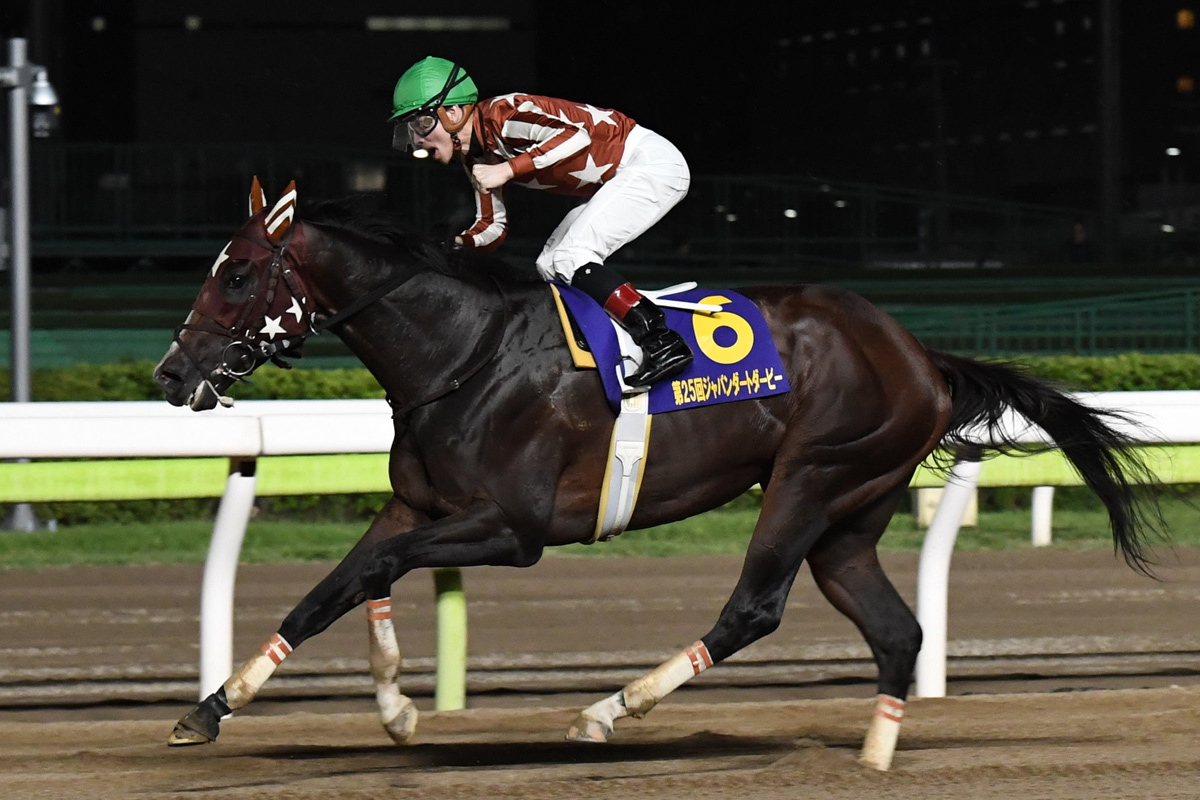 チャンピオンズC】大井のミックファイアにルメール騎乗 渡辺和雄調教