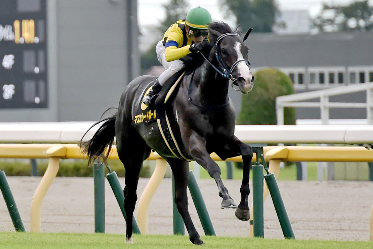 デビュー2連勝のマスカレードボールは12・28ホープフルSへ【次走
