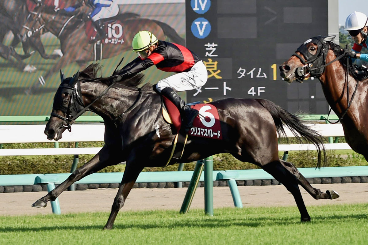 秋華賞5着のクリスマスパレードは中山金杯で復帰【次走報】 | 競馬