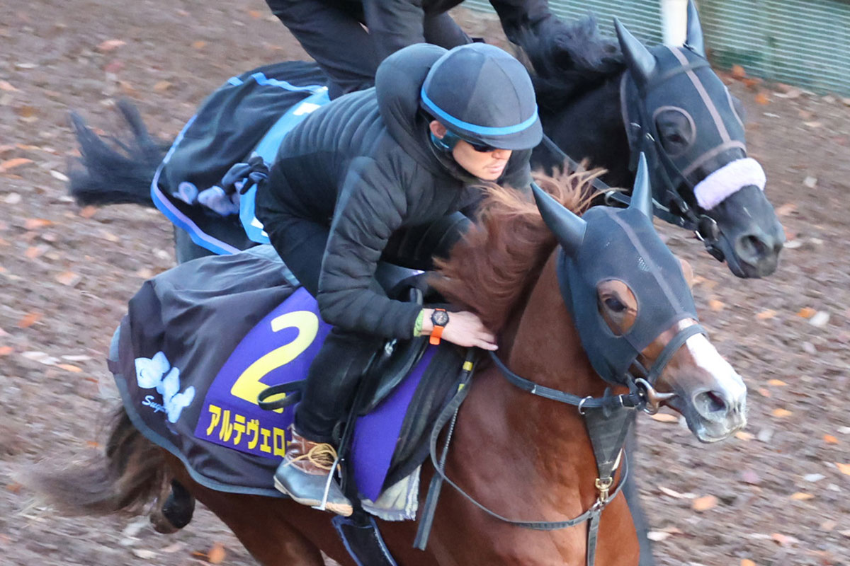 馬着 200グラム ヴェストラム （門上武司のおいしいコラム）