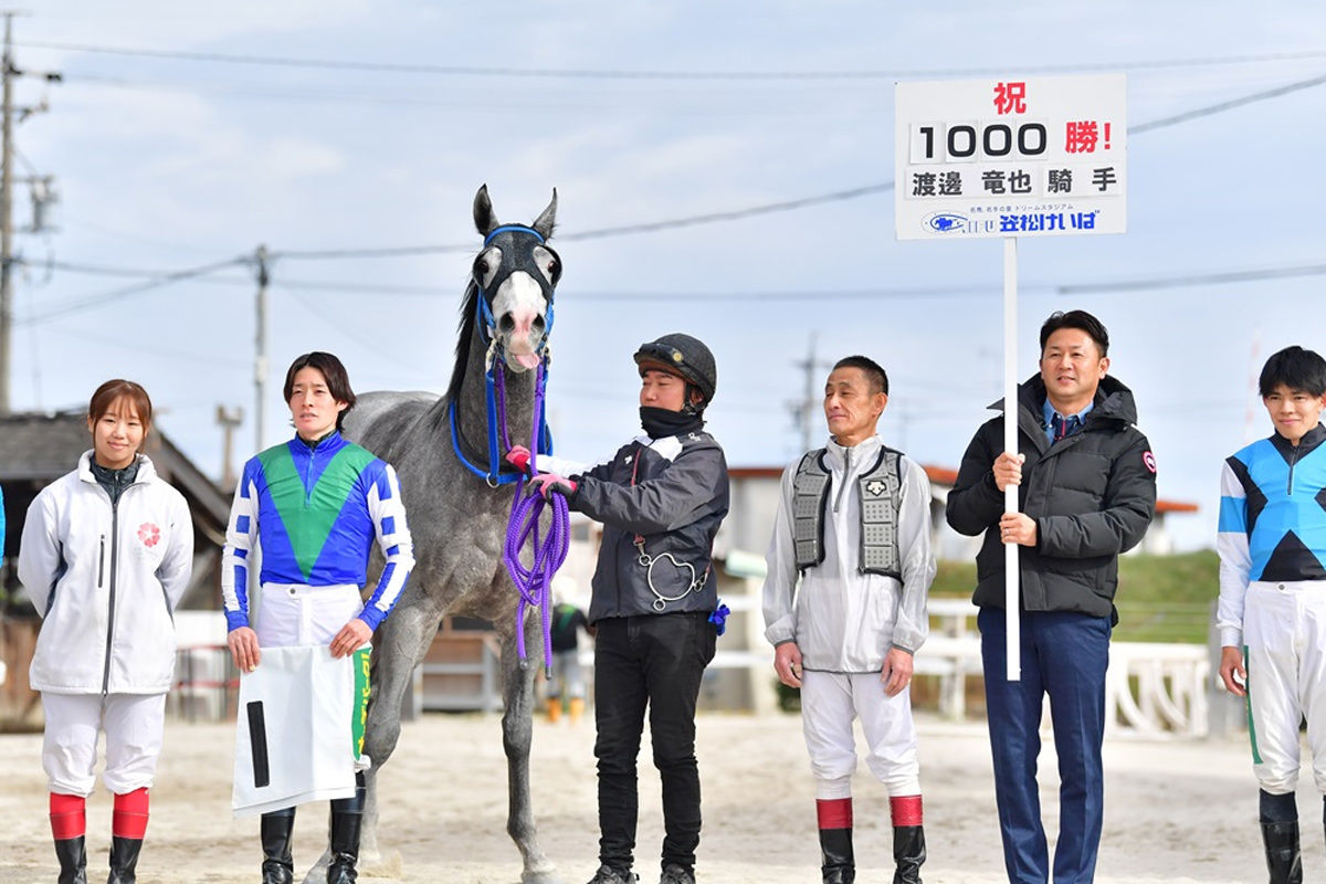 渡辺新一 「狙って取る万馬券確勝法」 貴重 USED 笠松の渡辺竜也が地方通算1000勝達成 141勝差リーディング独走