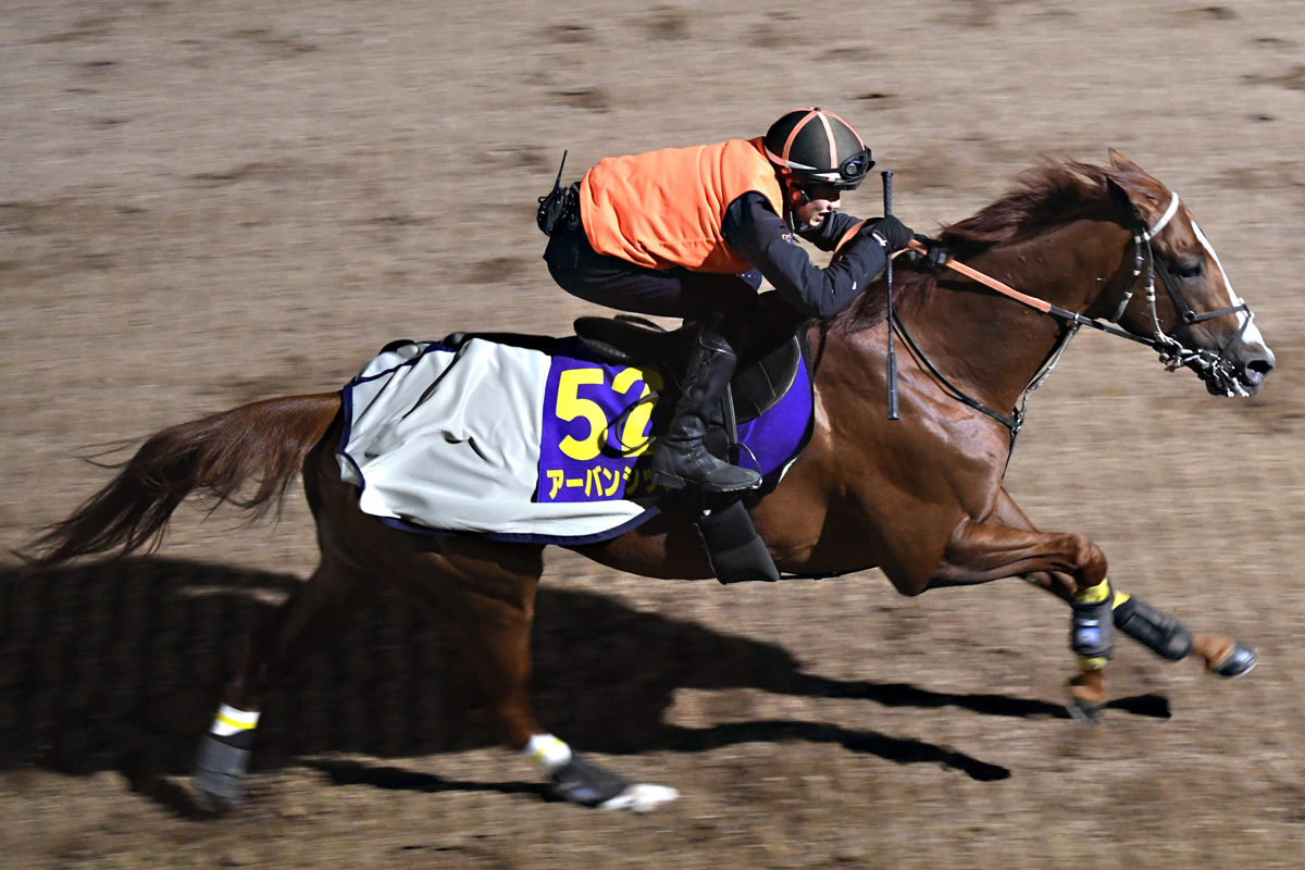 有馬記念・日曜追い】美浦でアーバンシック、白毛馬ハヤヤッコなどが