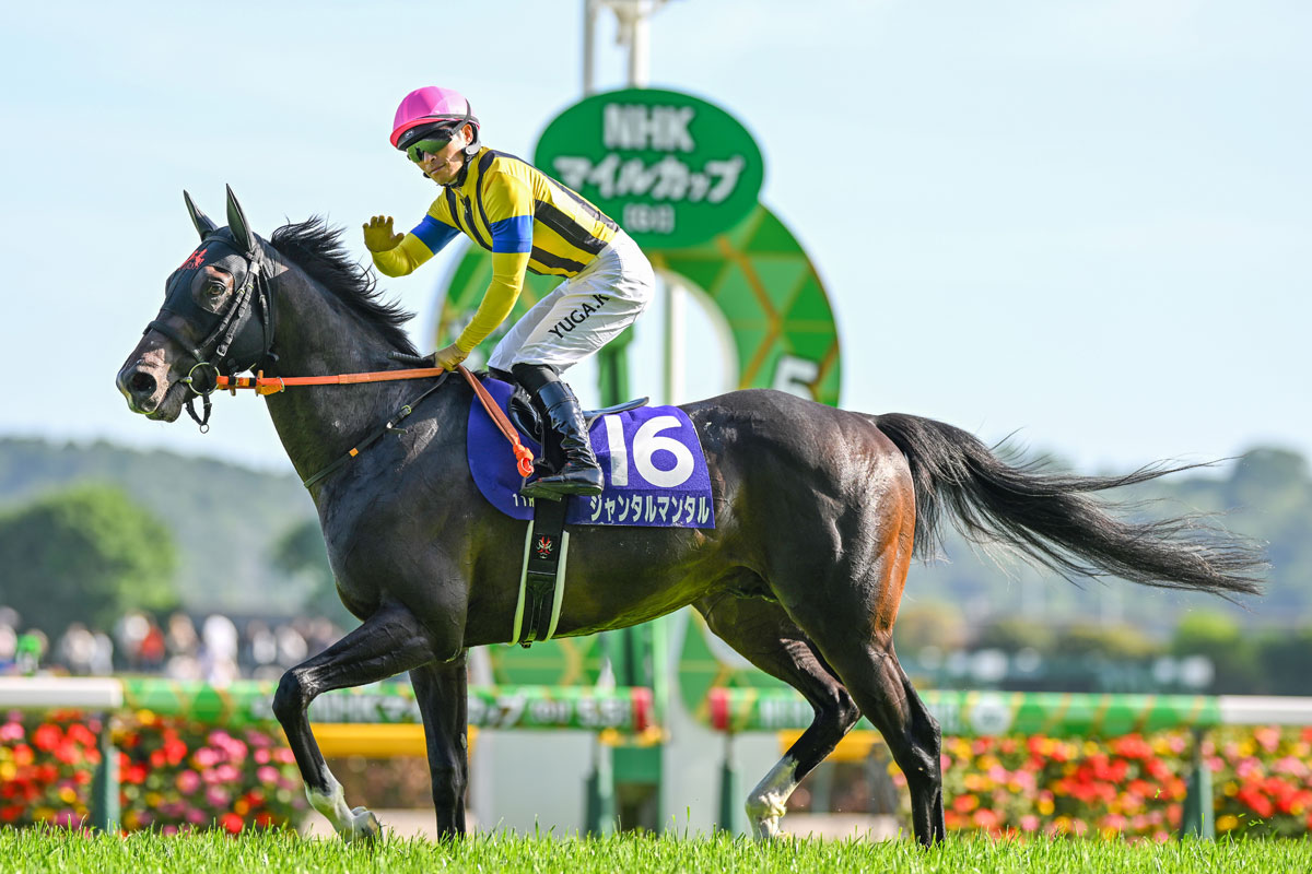 パレスマリスが262頭で日本最多の種付種牡馬に 世界で最も「仕事