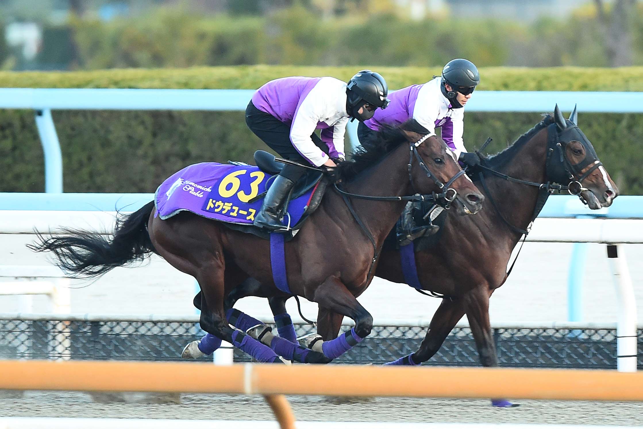 有馬記念追い切り】完璧！ドウデュースは力強い動きで併入 武豊も満足