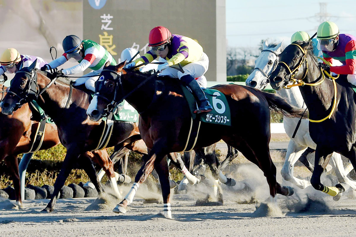 日本馬全頭掲載】2・22のサウジ国際競走にフォーエバーヤングなど