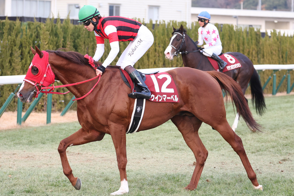 日本馬全頭掲載】2・22のサウジ国際競走にフォーエバーヤングなど
