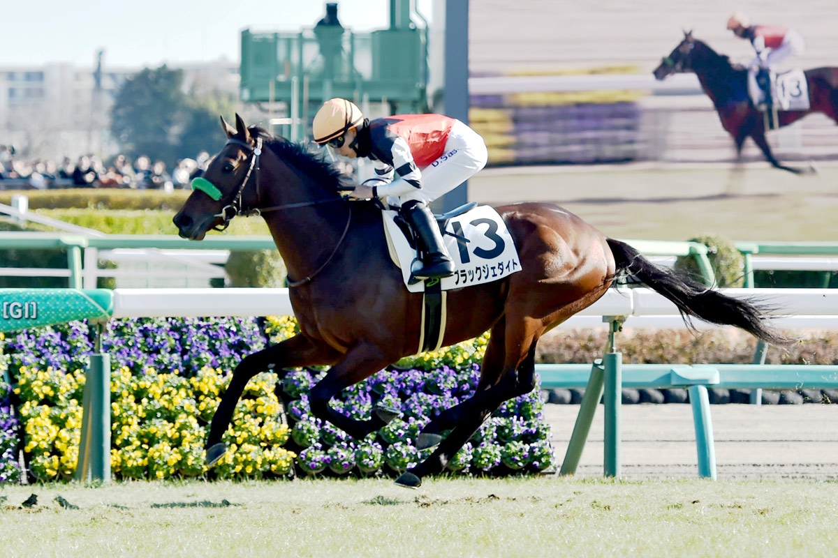 ブラックジェダイトが2馬身差完勝 佐々木大輔「力強い競馬をしてくれ