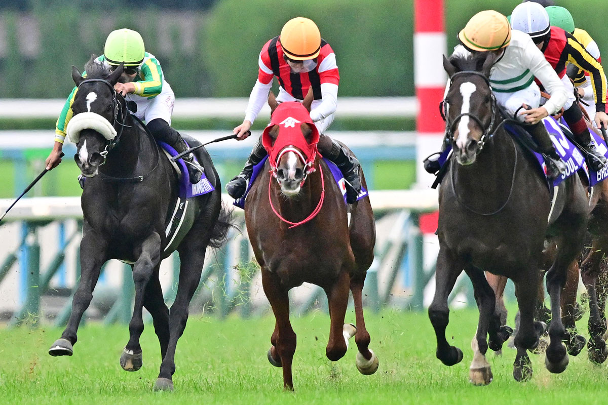 記者のベストレース2024】人馬一体で見せつけた〝王道競馬