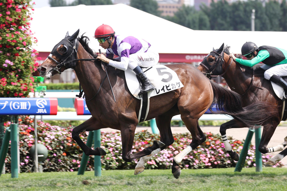記者のベストレース2024】「これだから競馬はやめられない。最高だ