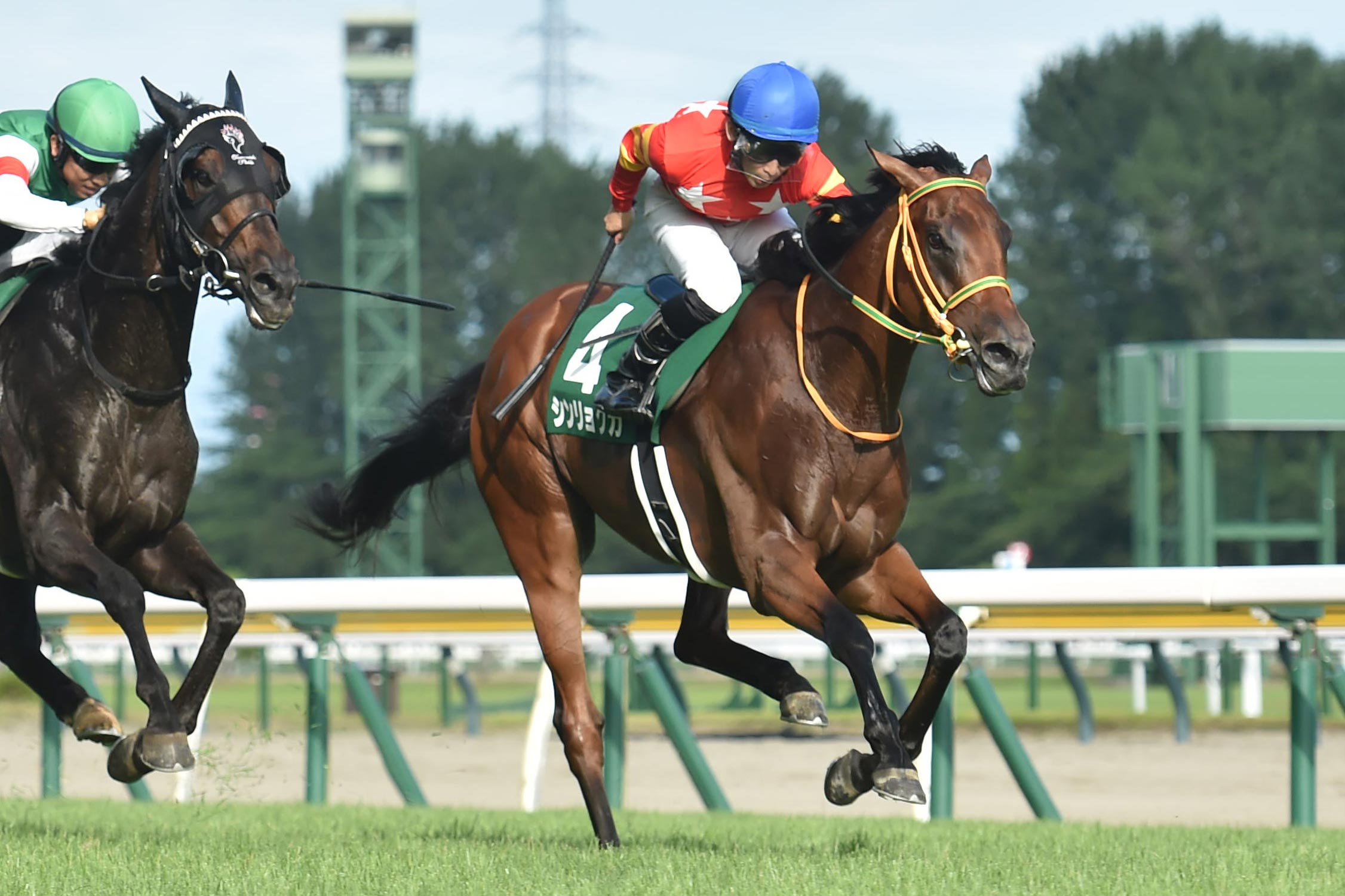 2025年期待の一頭】中山金杯から目指せ大阪杯！最高のチームで
