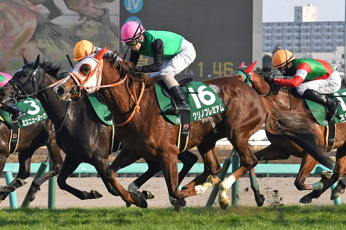 2022年の中山牝馬S勝ち馬クリノプレミアムが引退 繁殖入り | 競馬