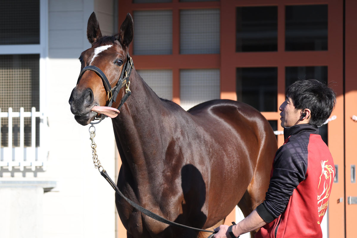 ミホシンザン 天皇賞春 現地的中単勝馬券 期限切れ 哭い 換金不可