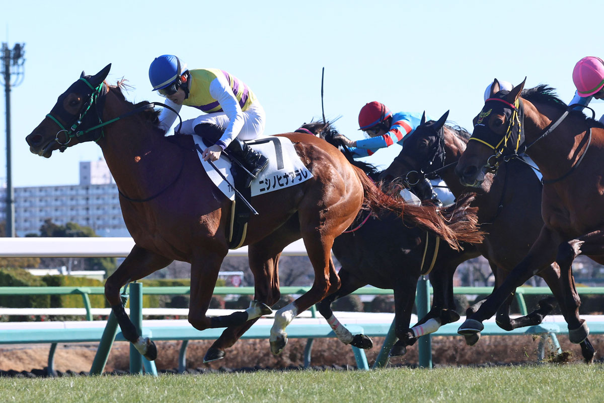 荒れる レース 競馬