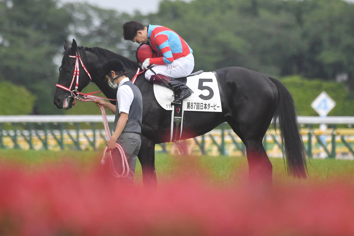 顕彰馬コントレイルの表彰で矢作芳人調教師「疲れる日々でした 