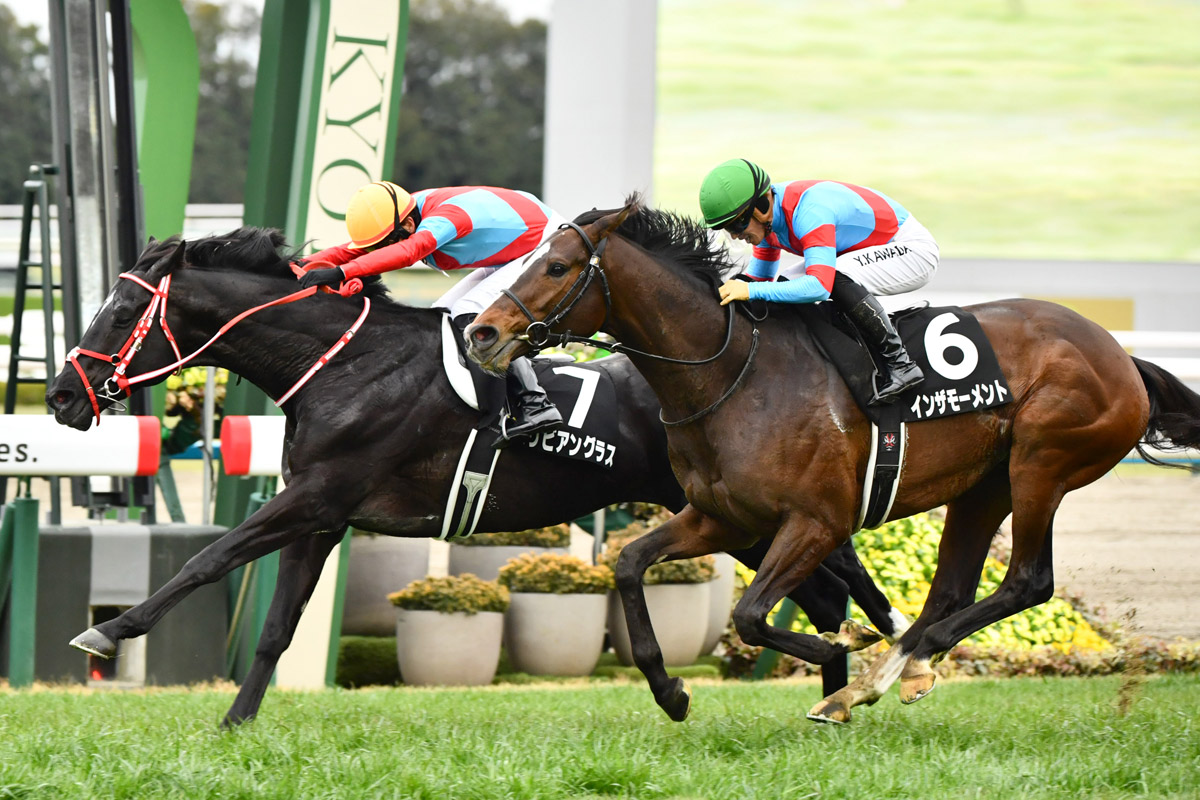 全兄弟の2頭が激しい叩き合い！ 兄の威厳でリビアングラスが勝利