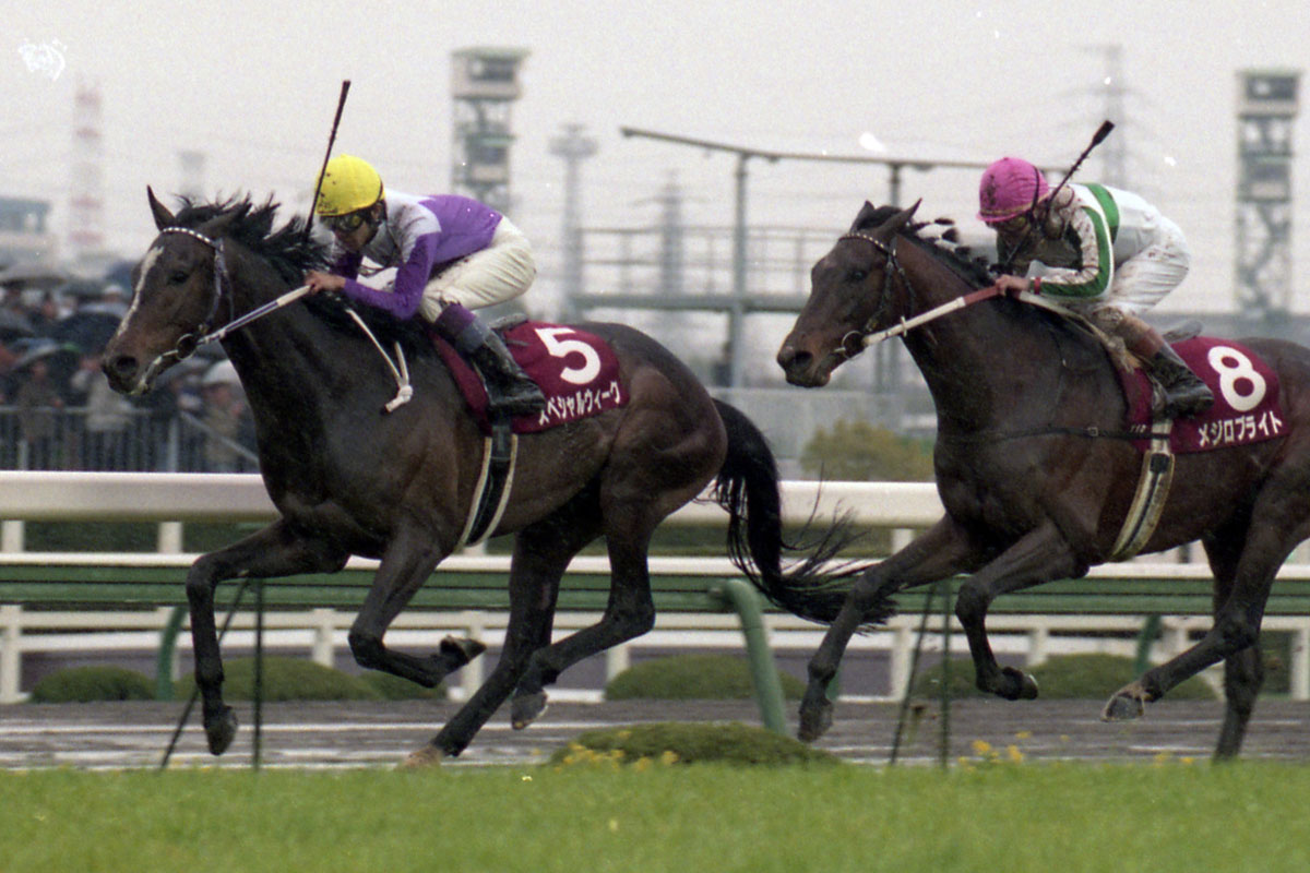 連載「スペシャルウィーク」 | 競馬ニュース・特集なら東スポ競馬