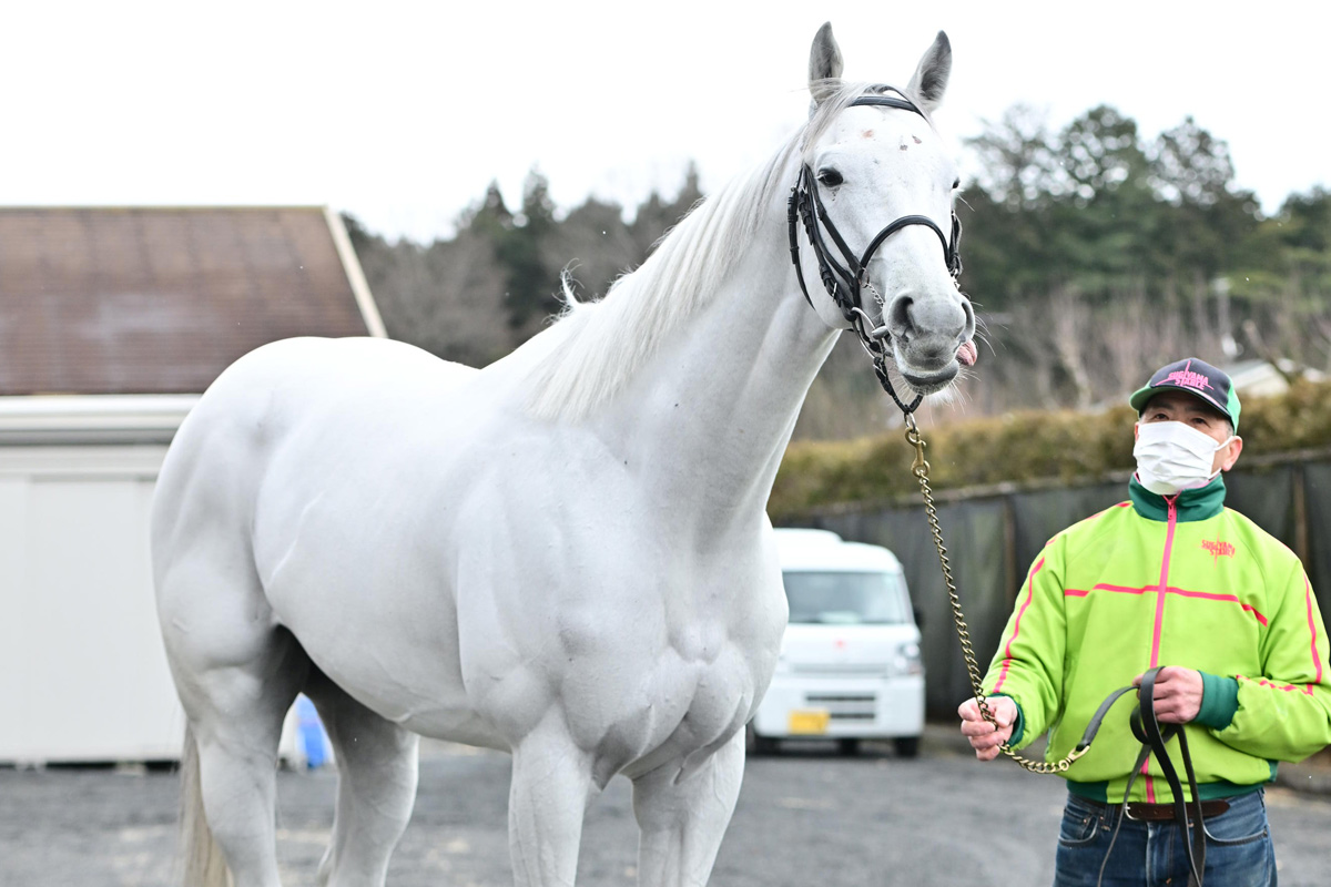 ガイアフォースは香港GⅠチャンピオンズマイルに登録へ 選出されない