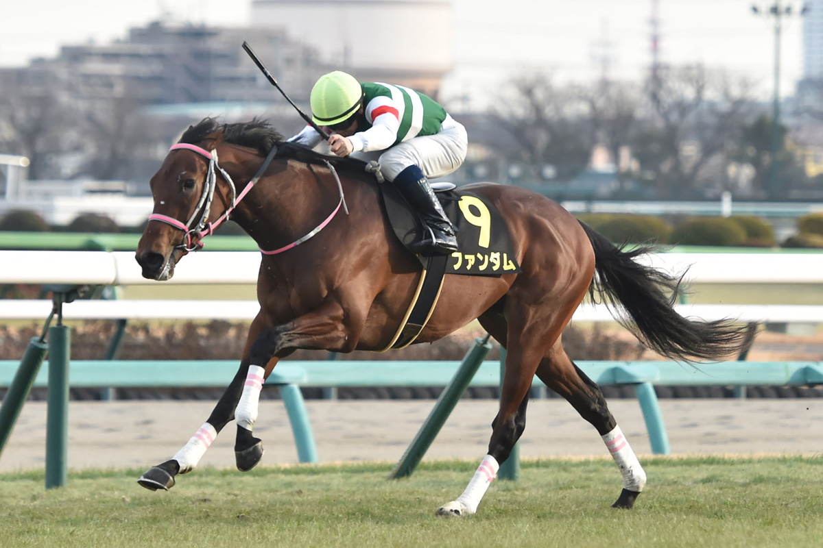 無傷V2の素質馬ファンダムは3・29毎日杯を予定【次走報】 | 競馬