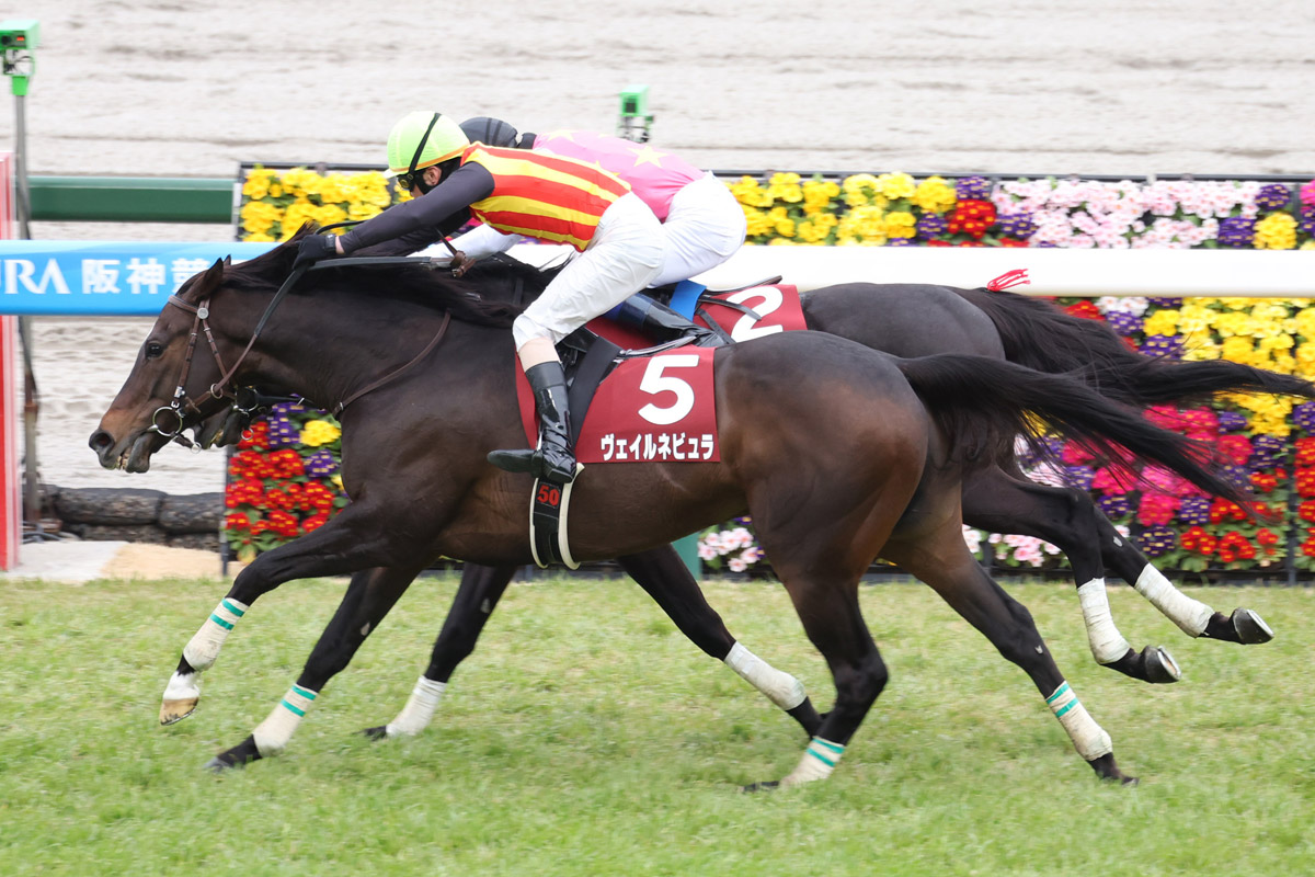 阪神スプリングJ】ヴェイルネビュラ重賞初V 五十嵐雄祐は史上4人目