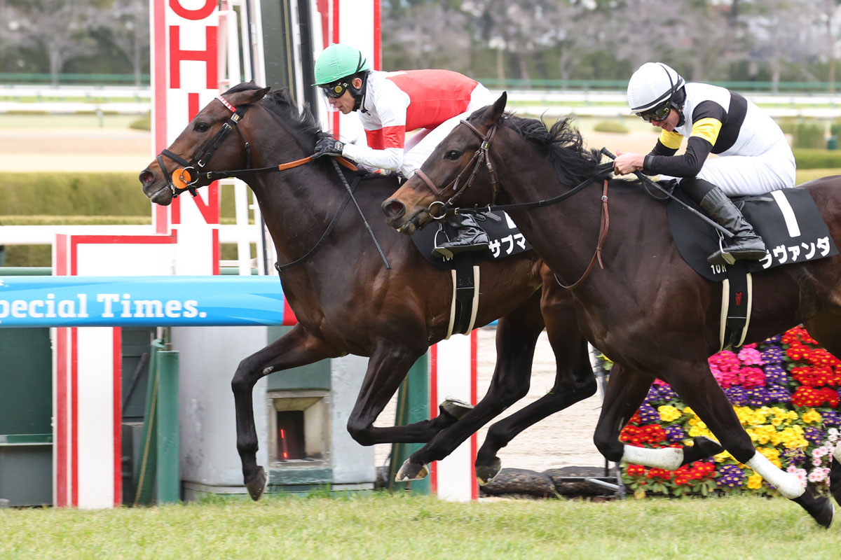 武豊がバースデーVを飾った〝相棒〟サブマリーナは鞍上継続で5・17