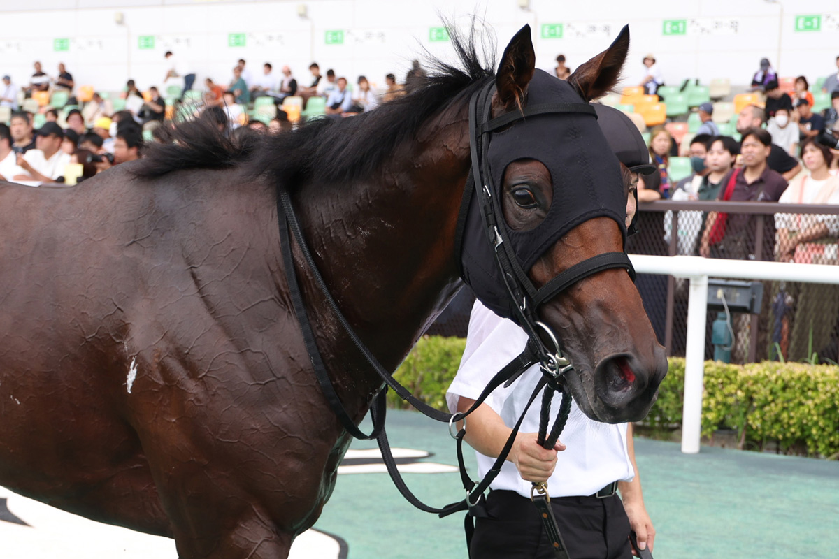 若葉S】ローランドバローズが2着奮闘で皐月賞切符ゲット 岩田康誠
