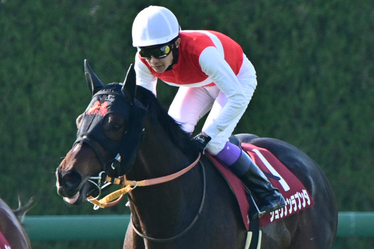 阪神大賞典】新星サンライズアースが6馬身差圧勝 レース後の陣営が着