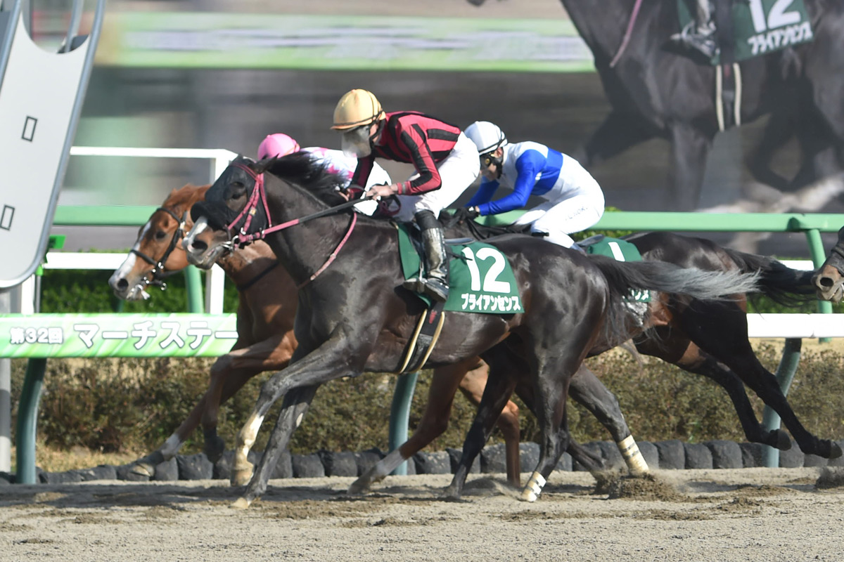 マーチS勝利のブライアンセンスは名古屋グランプリと平安Sの両にらみ