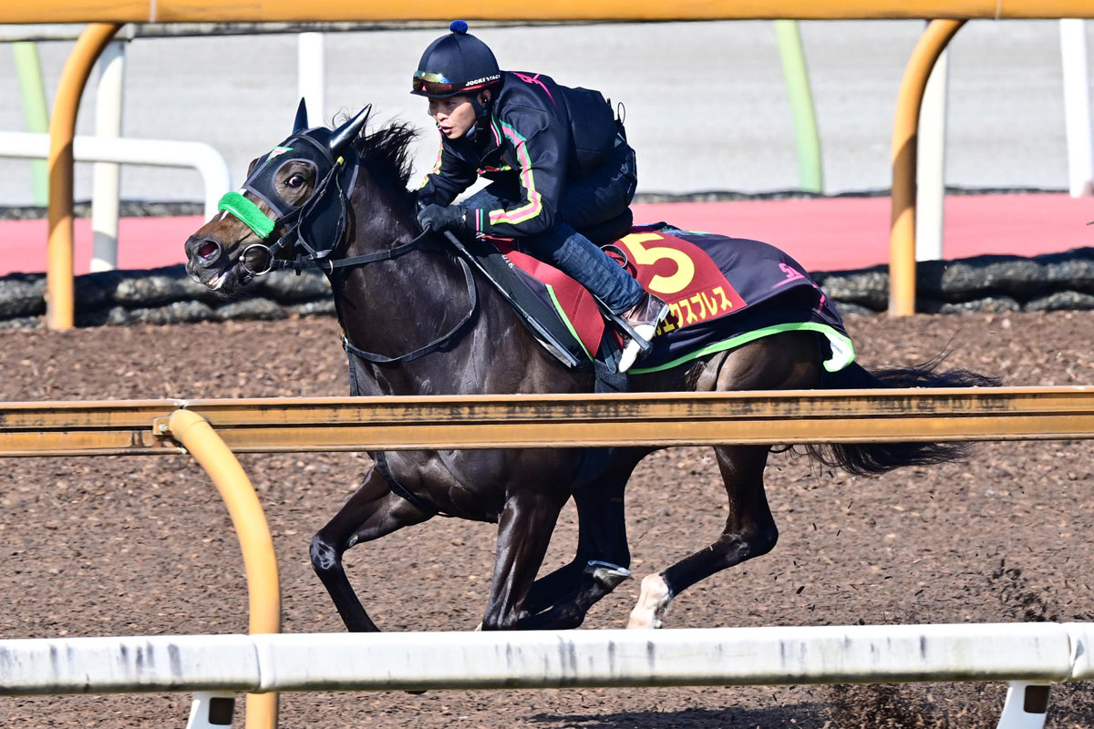 桜花賞】キャリア2戦とは思えぬ〝離れ業〟 「爆発力と危うさ」が同居 